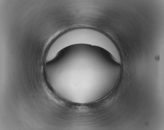 X0000113180395200909251447