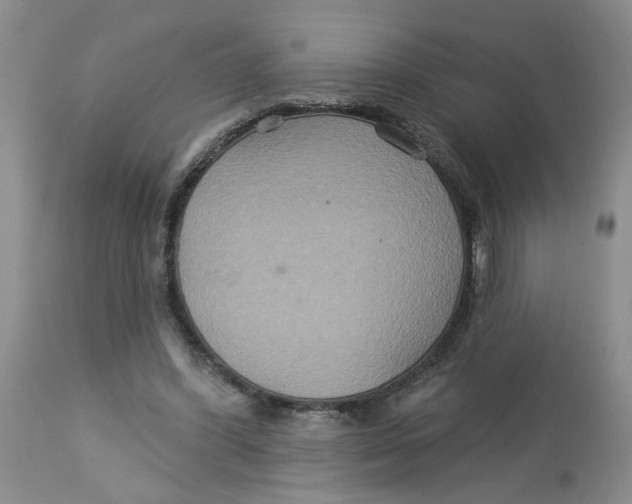 X0000113180396200909251447