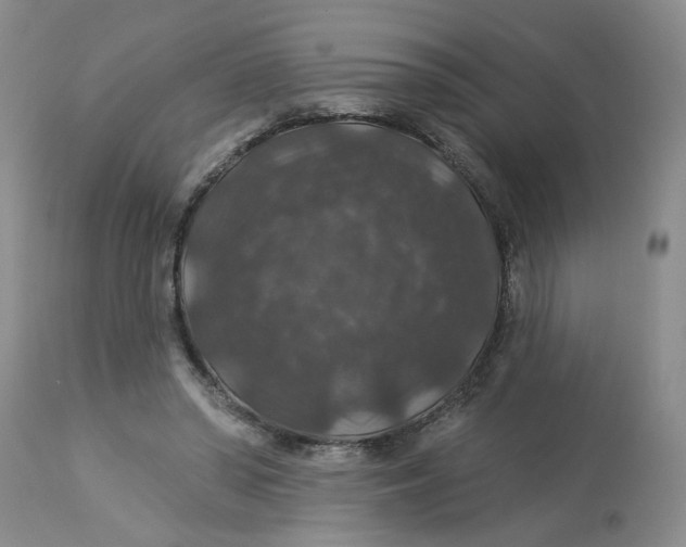 X0000113180398200909251447