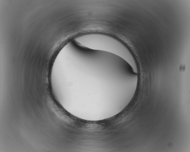 X0000113180399200909251447