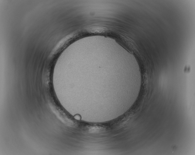 X0000113180400200909251447