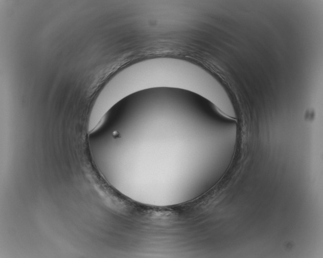 X0000113180401200909251447