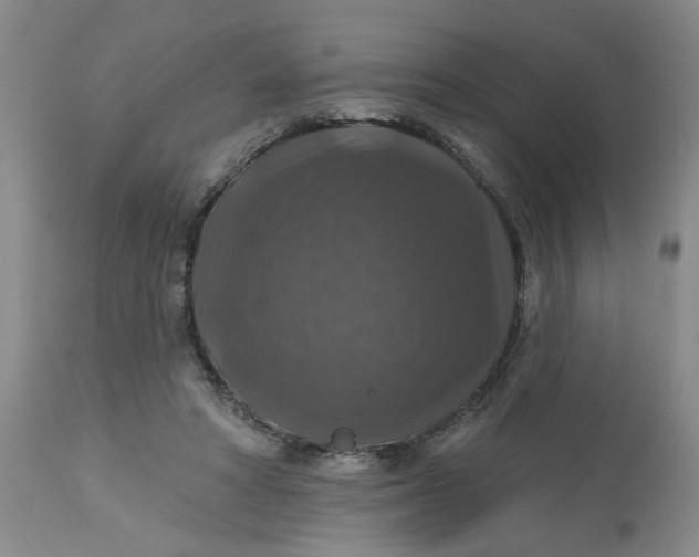 X0000113180402200909251447