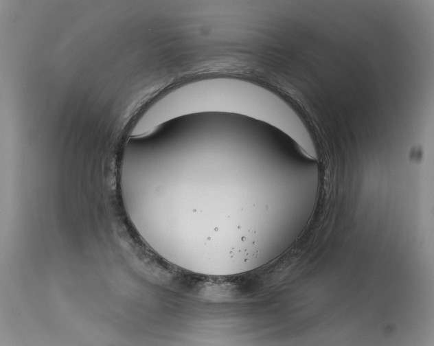 X0000113180403200909251447