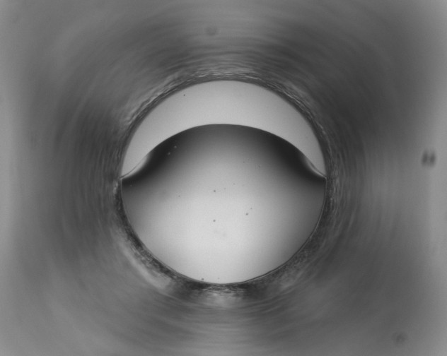 X0000113180405200909251447