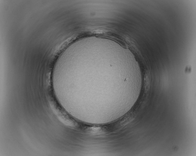X0000113180406200909251447