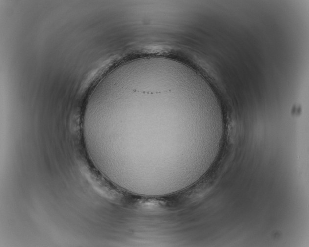 X0000113180407200909251447