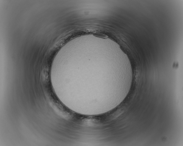 X0000113180408200909251447