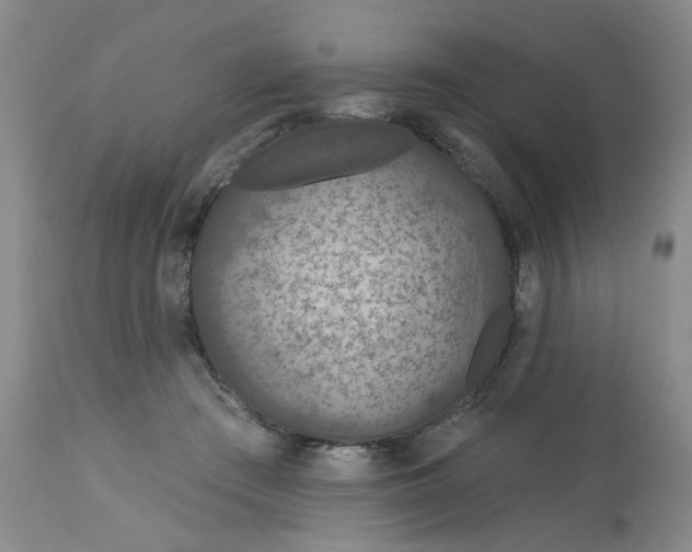 X0000113180409200909251447