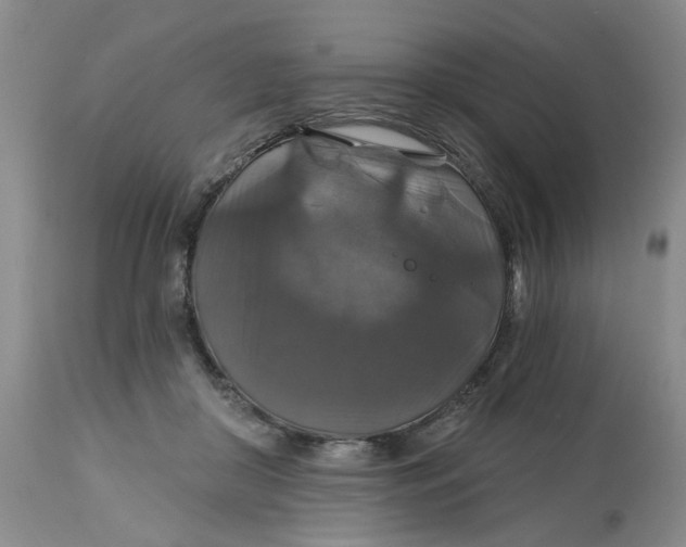 X0000113180410200909251447