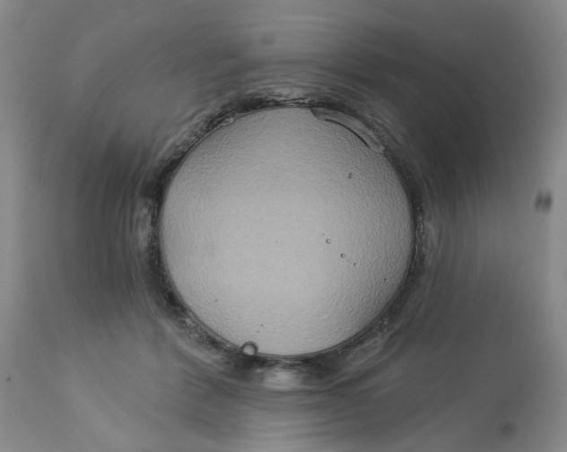 X0000113180412200909251447