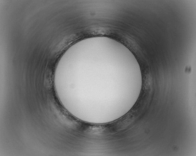 X0000113180414200909251447