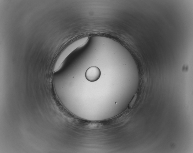 X0000113180415200909251447