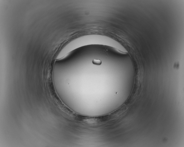 X0000113180417200909251447