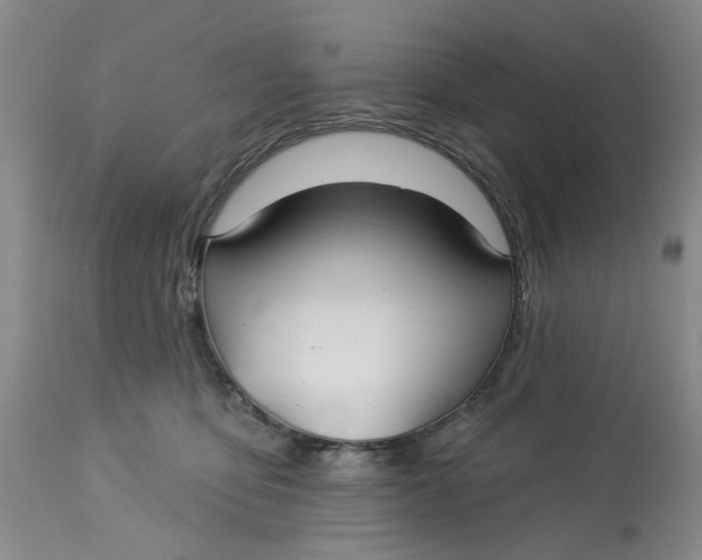 X0000113180419200909251447