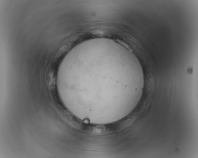 X0000113180420200909251447