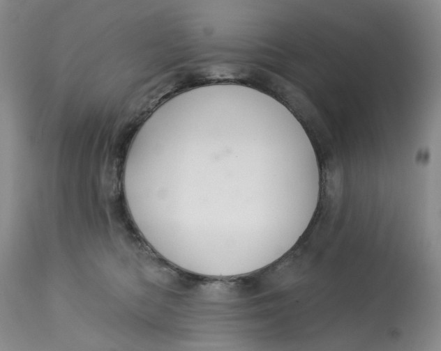 X0000113180422200909251447