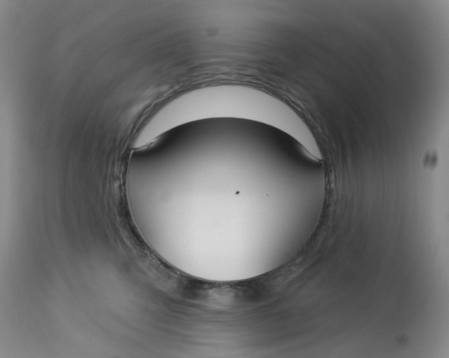 X0000113180423200909251447