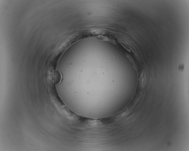 X0000113180424200909251447