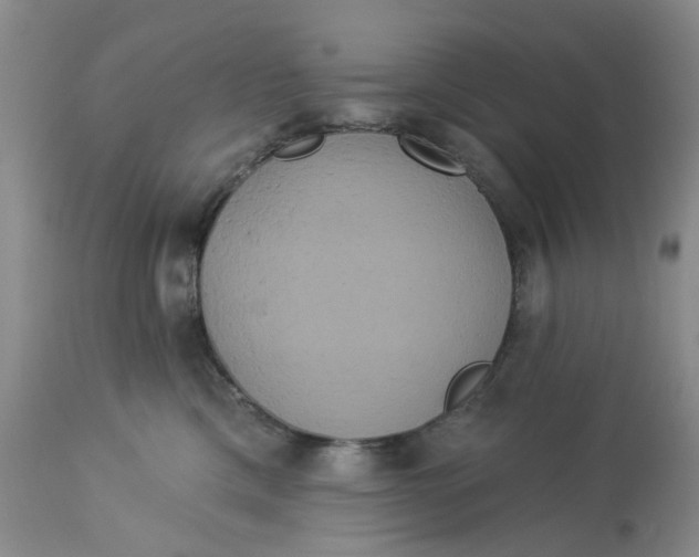 X0000113180425200909251447