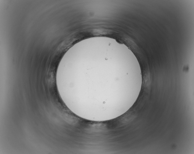 X0000113180426200909251447