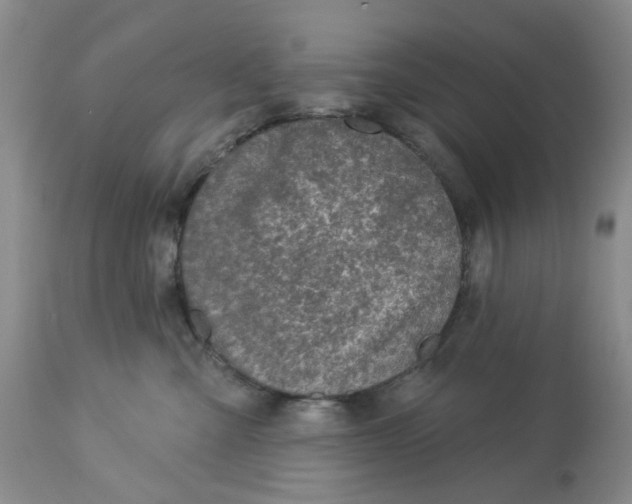 X0000113180427200909251447