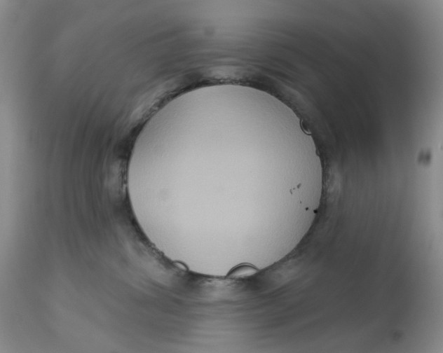 X0000113180428200909251447