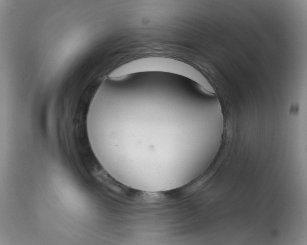 X0000113180429200909251447