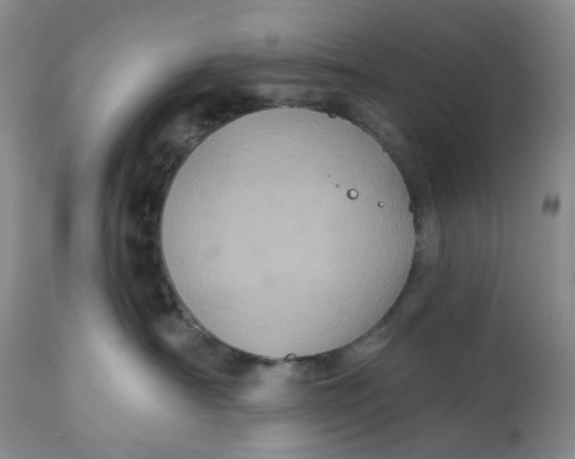 X0000113180430200909251447
