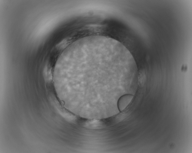 X0000113180431200909251447