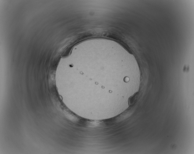 X0000113180432200909251447
