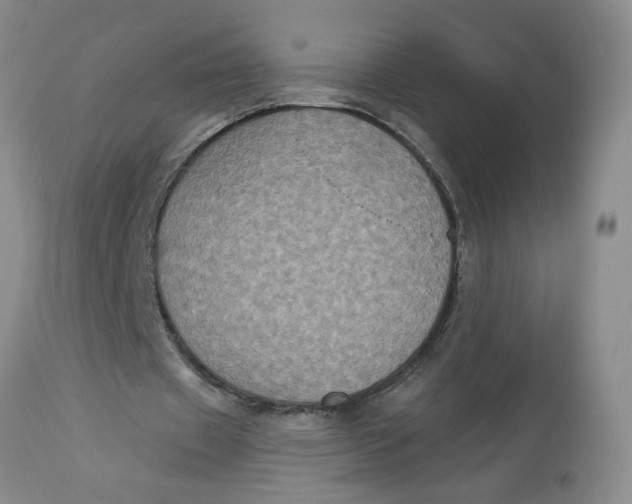 X0000113180433200909251445
