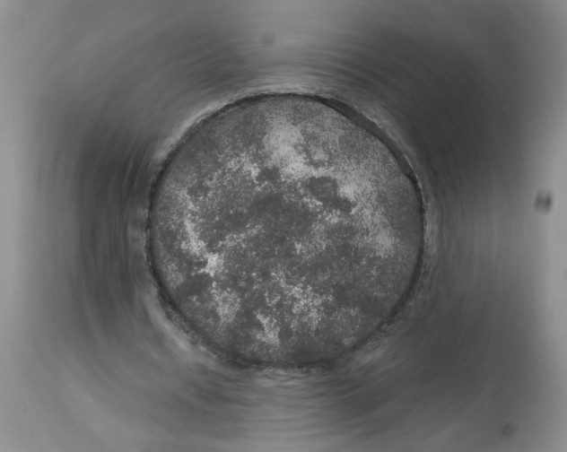 X0000113180434200909251445