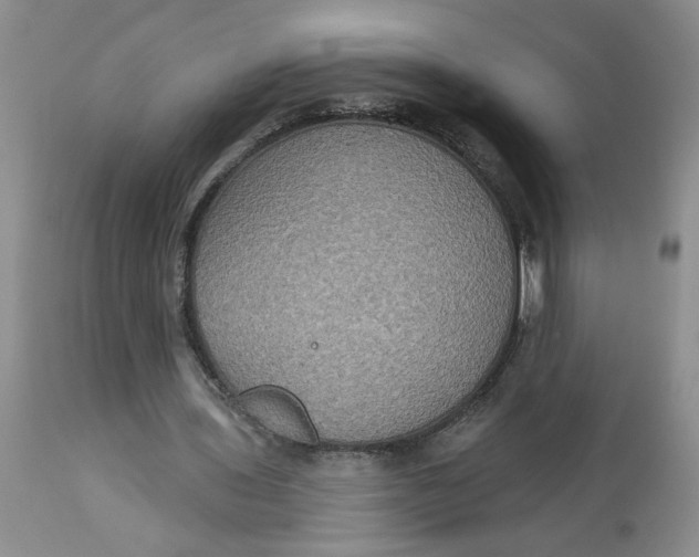 X0000113180435200909251445