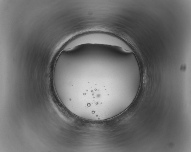 X0000113180436200909251445