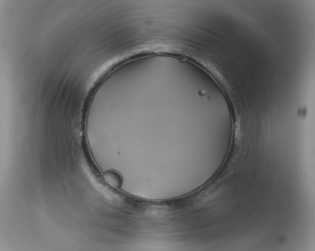 X0000113180438200909251445