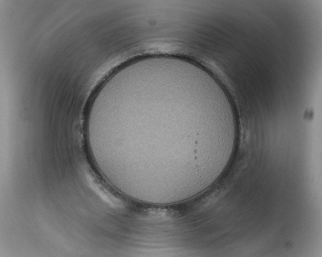 X0000113180439200909251445