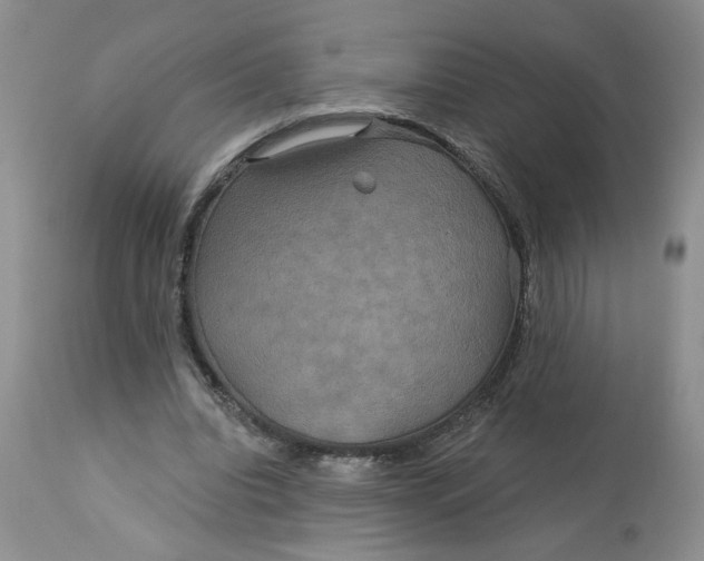 X0000113180440200909251445