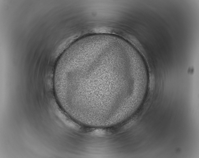 X0000113180441200909251446