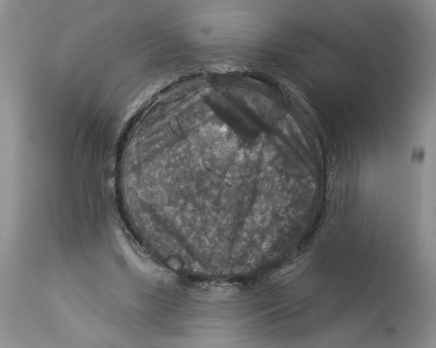 X0000113180443200909251446