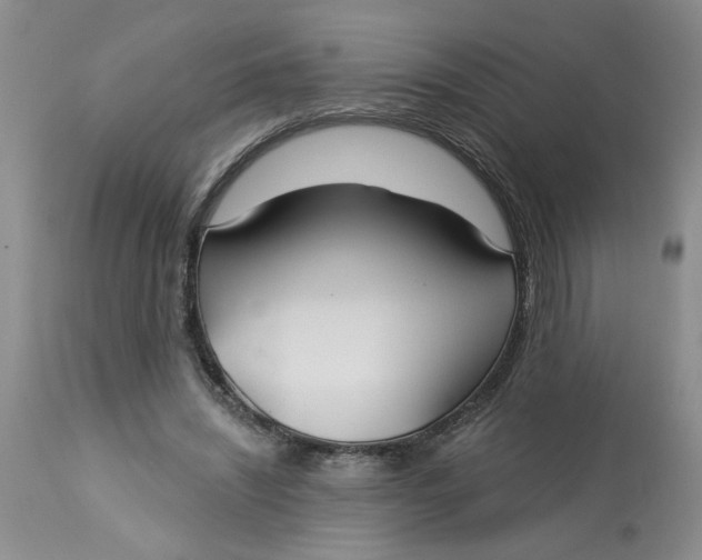 X0000113180444200909251446