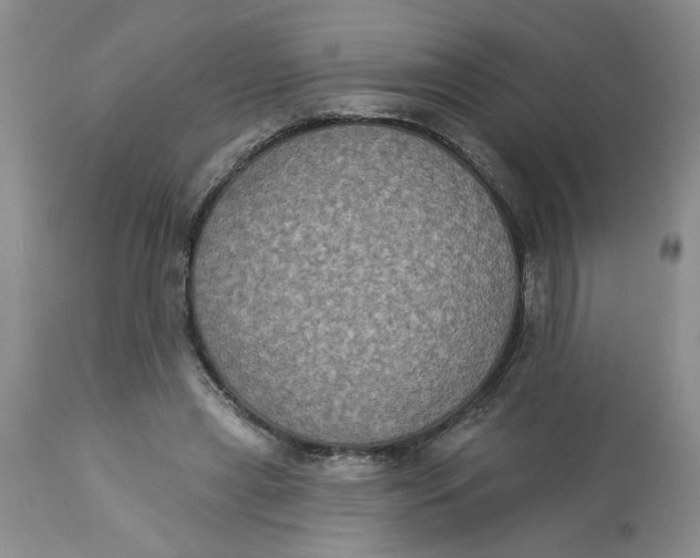 X0000113180445200909251446