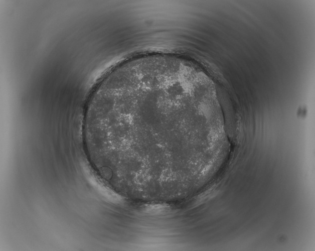 X0000113180446200909251446