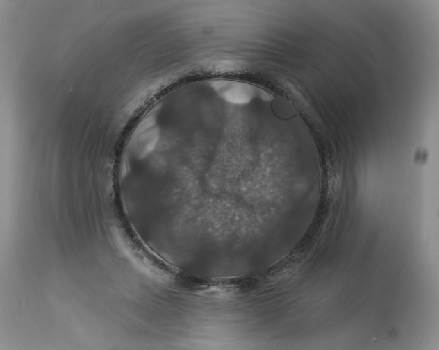 X0000113180447200909251446