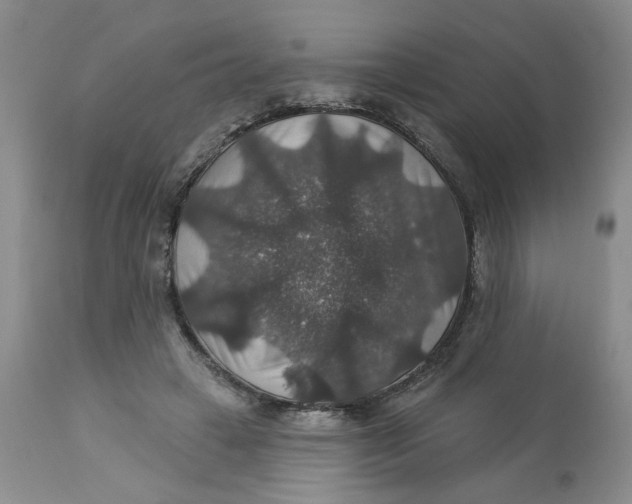 X0000113180449200909251446