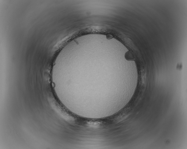 X0000113180450200909251446
