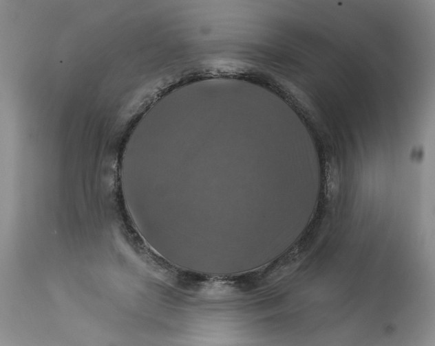X0000113180451200909251446