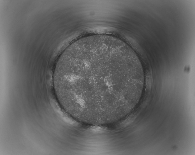 X0000113180453200909251446