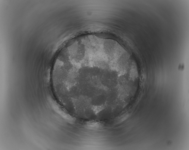 X0000113180454200909251446
