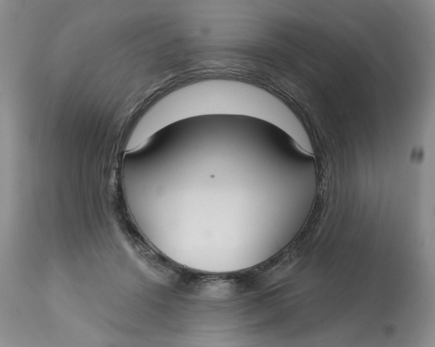 X0000113180456200909251446